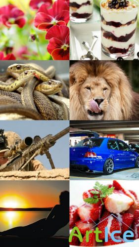 Collection of Different Wallpapers Set 63