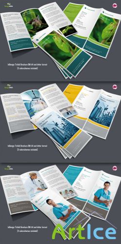 CreativeMarket - Flexible Trifold Brochure / 3 Colors