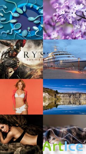 Collection of Different Wallpapers Set 71