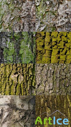 Green Cortex Textures JPG FIles