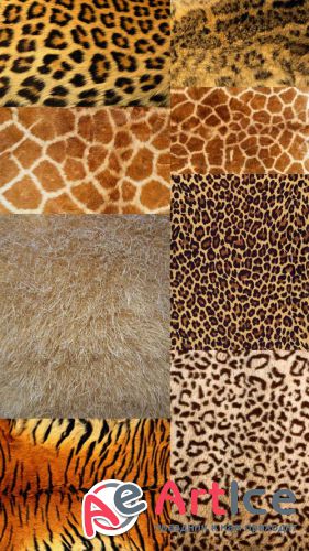 Textures Animal Skins Set JPG Files