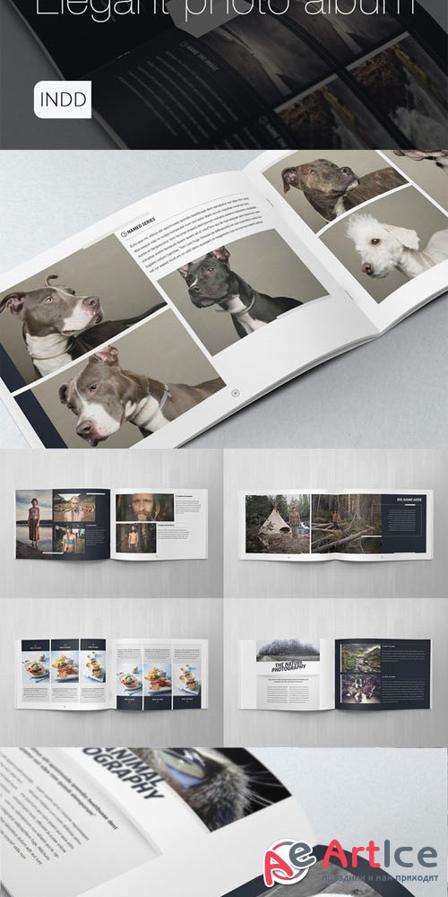 CreativeMarket - Elegant Photo Album A4 + Letter