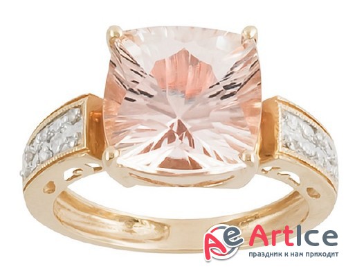 ������ � ������� ���������� �������� (�������� �����������)