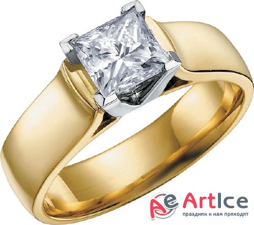 ������ � ������� ���������� �������� (�������� �����������)