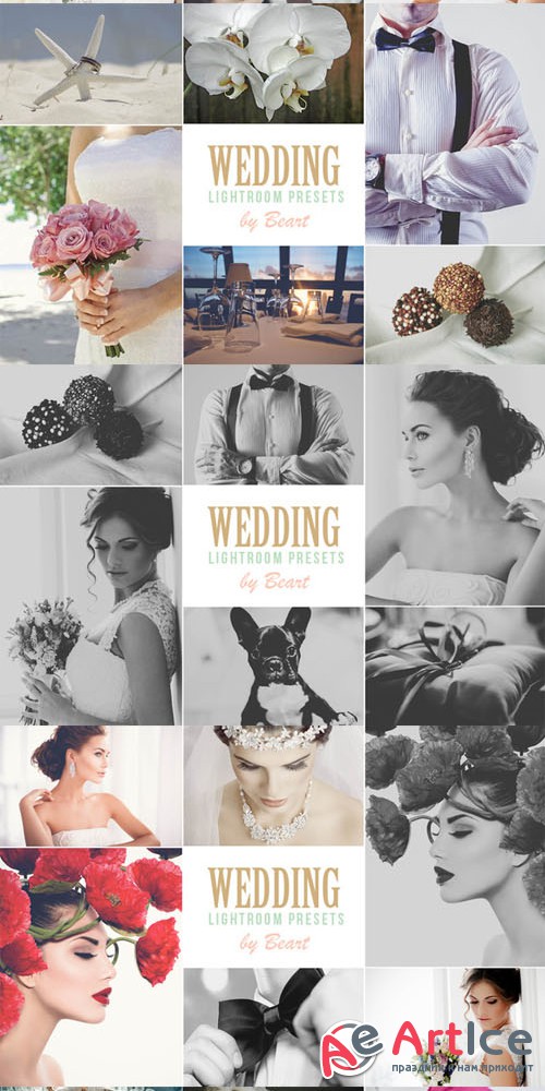 Wedding Lightroom Presets - CM 101567