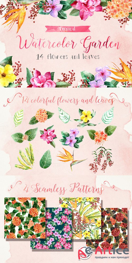 Tropical Watercolor Garden - Creativemarket 191420