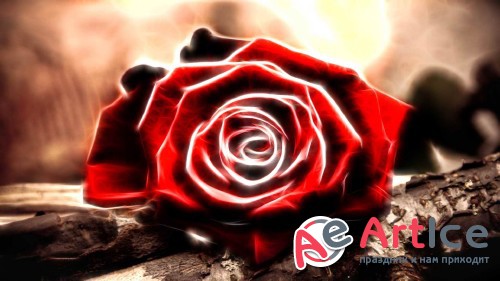 Wallpapers Collection Mixed #63