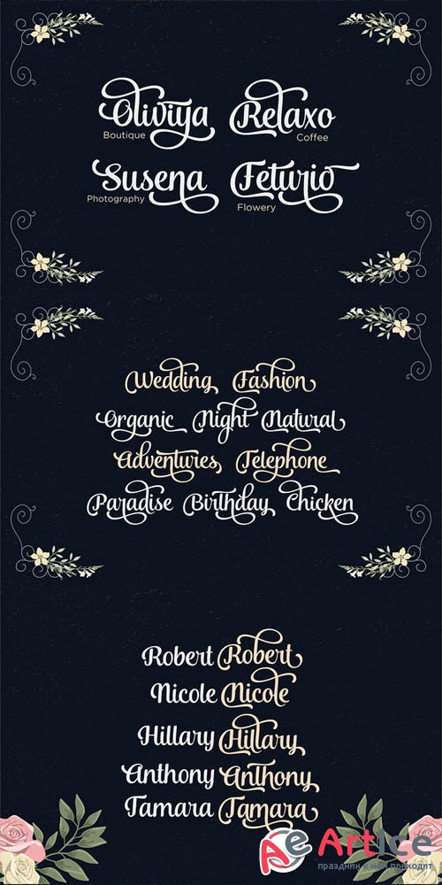 Andalusia Script Font - Creativemarket 88327