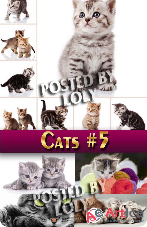   #7 -  