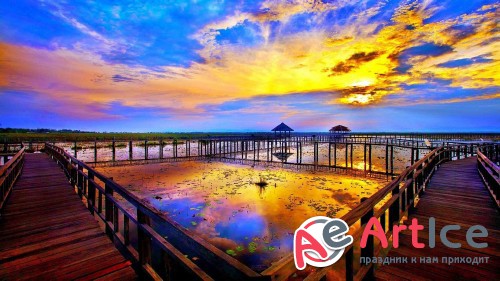 Wallpapers Mixed Pack #44