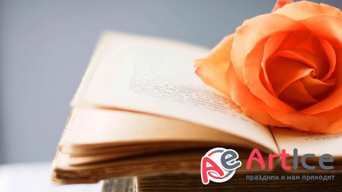Best Mixed Wallpapers Pack #196