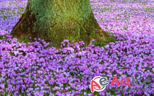 Wallpapers Seasons #287