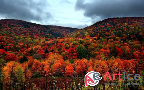 Wallpapers Seasons #287