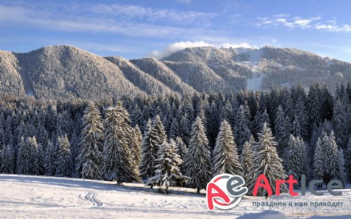 Wallpapers Seasons #287