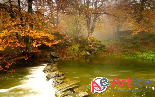 Wallpapers Seasons #287