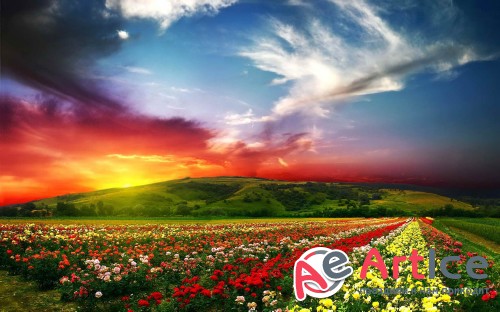 Wallpapers Seasons #287