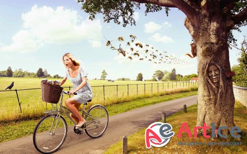 Wallpapers Creative #230