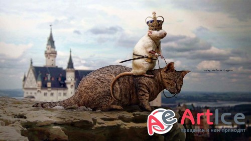 Wallpapers Creative #230