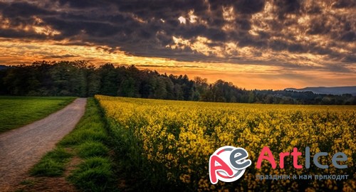 HQ ���� ��� �������� �����. ����� 378