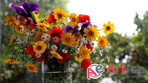 HQ ���� ��� �������� �����. ����� 380