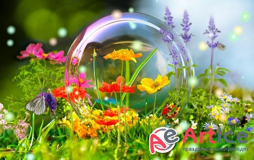 HQ ���� ��� �������� �����. ����� 384