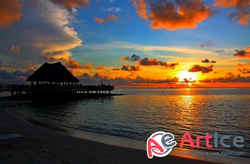 HQ ���� ��� �������� �����. ����� 384