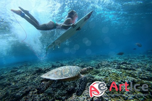 HQ ���� ��� �������� �����. ����� 384