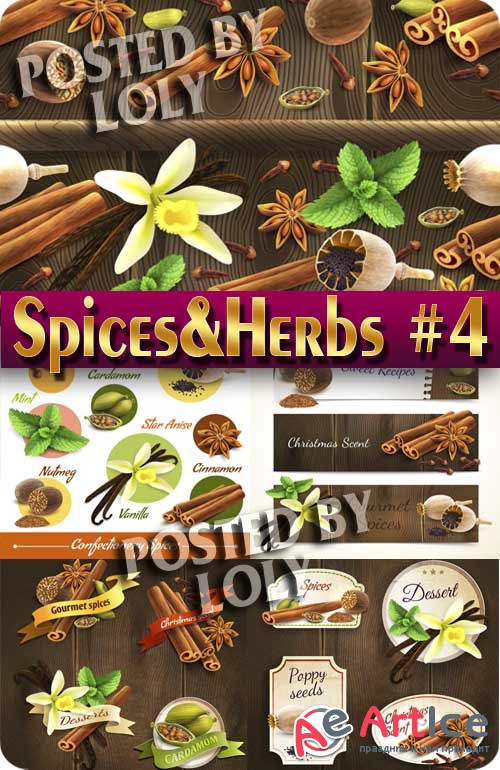    #4 -  