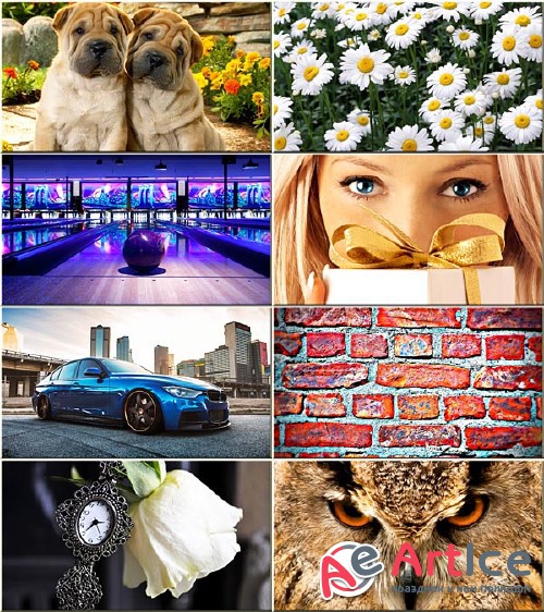 Best Wallpapers Mixed Pack #123