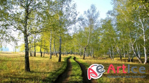 Wallpapers Colorful Landscapes #151