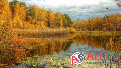Wallpapers Landscapes #151