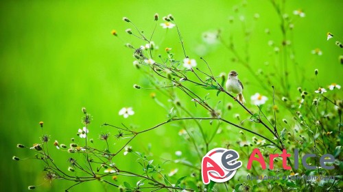Wallpapers Landscapes #151