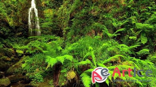 Wallpapers Landscapes #151