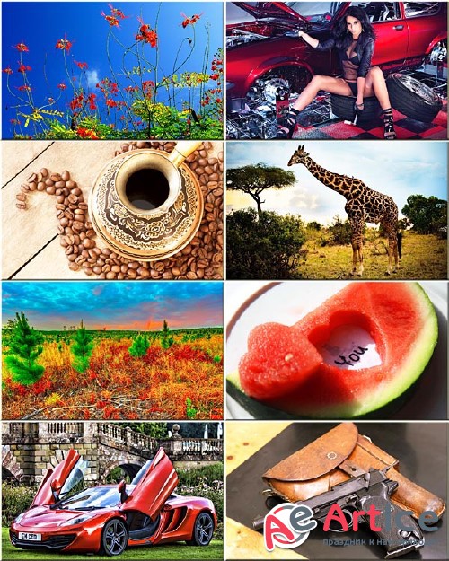 Wallpapers Collection Mixed #225
