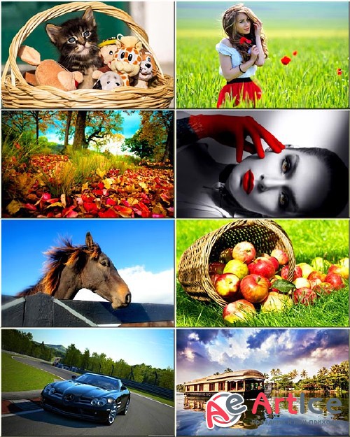 Wallpapers Mixed Collection #175