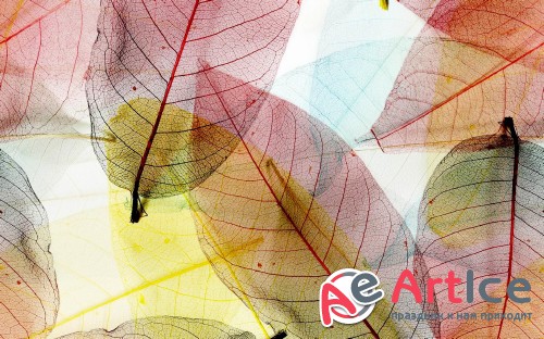 Wallpapers Mixed Pack #165