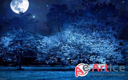 Wallpapers Mixed Pack #165