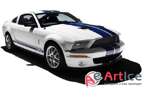   FORD ( )