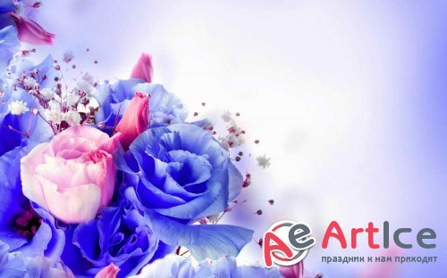Wallpapers Mixed Pack #102