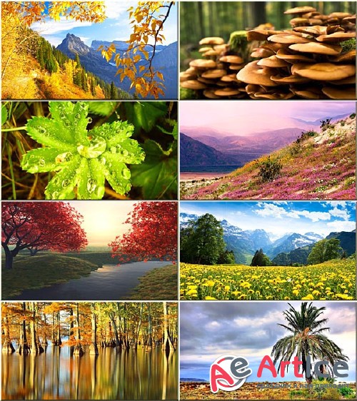 Wallpapers Nature #168