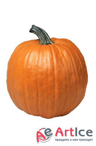 ,  ( )