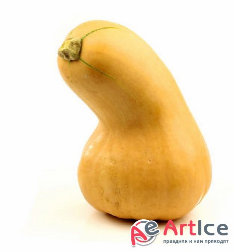 ,  ( )