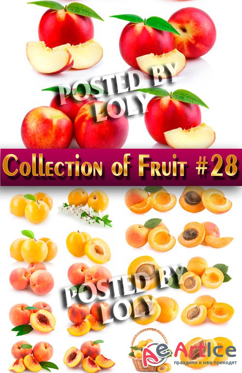 .  .  #28 -  