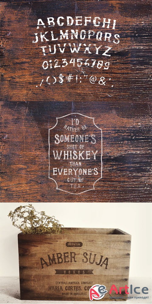 Creativemarket - Bonerica Typeface 79700