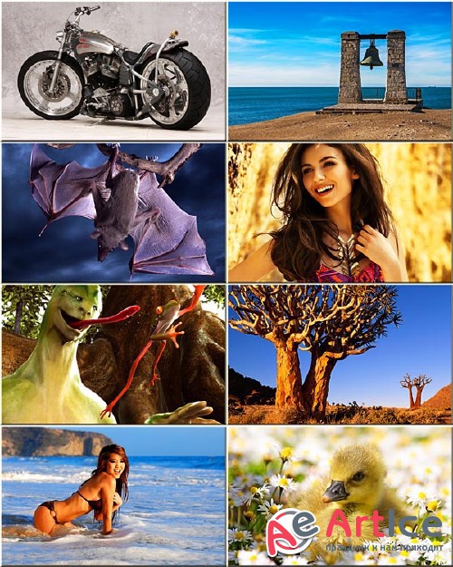 Best Wallpapers Mixed Pack #92