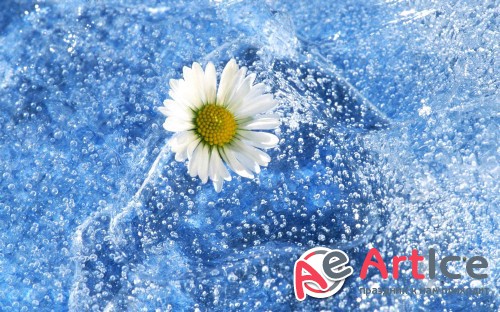 Wallpapers Mixed Collection #171