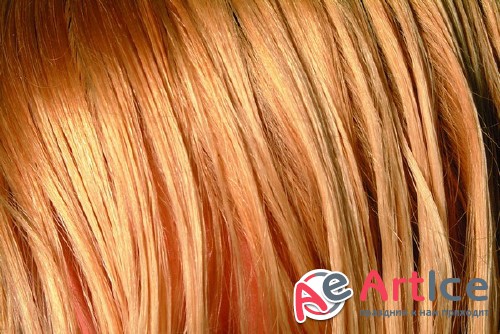 ������ (�������� ����������)