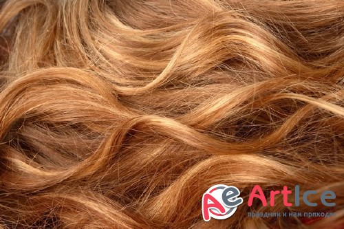 ������ (�������� ����������)