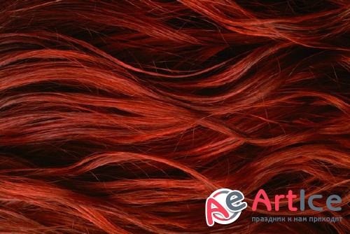 ������ (�������� ����������)