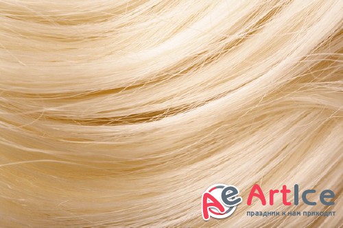 ������ (�������� ����������)